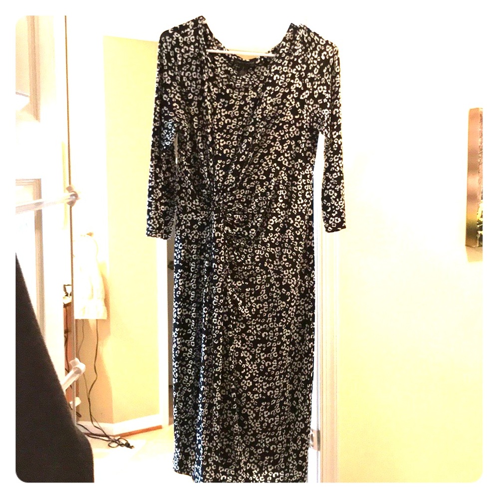 Pea in the Pod Maternity Dress